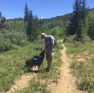 Meet your Posher, Dana